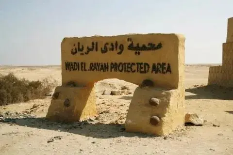 Private Tour to El Fayoum Oasis and Wadi El Rayan Waterfalls from Cairo
